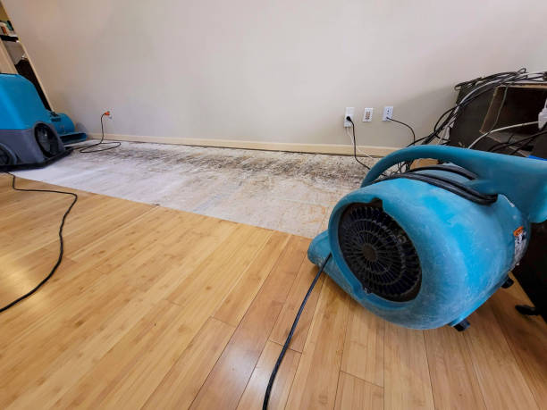 Professional Basement Flood Cleanup technician working in Woodruff, UT